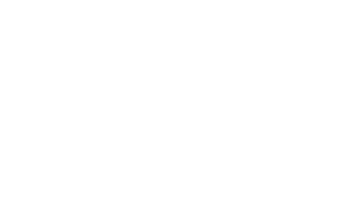 REVLON PROFESSIONAL